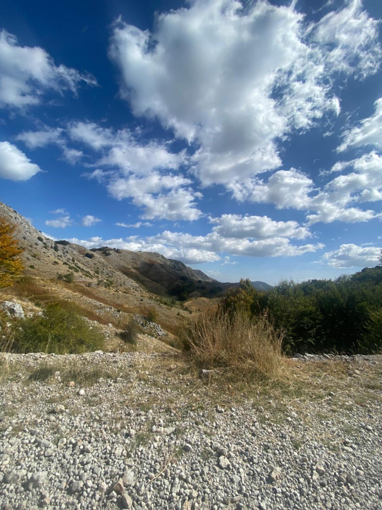 טיראנה Vila Disha מראה חיצוני תמונה