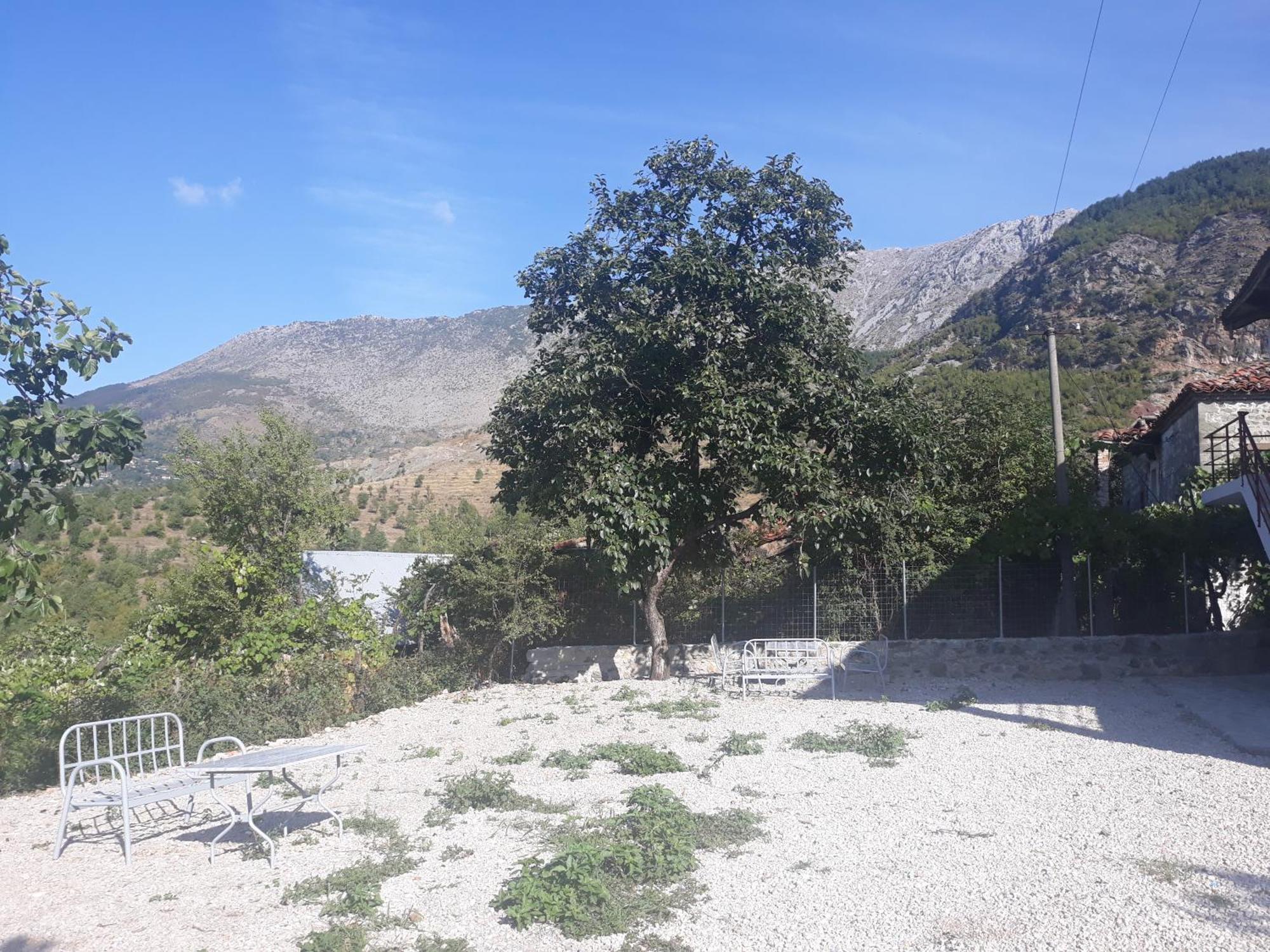 טיראנה Vila Disha חדר תמונה